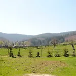 Wilinianka 3* Pieszyce