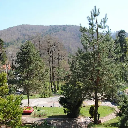 Wilinianka 3* Pieszyce