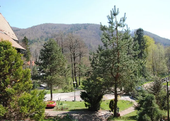 Wilinianka 3* Pieszyce